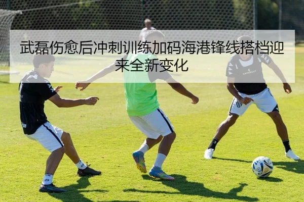 武磊伤愈后冲刺训练加码海港锋线搭档迎来全新变化
