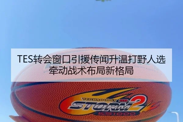 TES转会窗口引援传闻升温打野人选牵动战术布局新格局